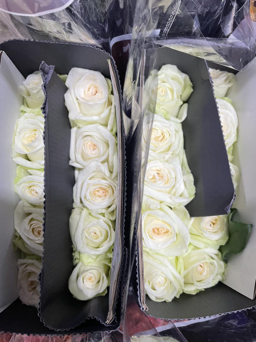【拍市玫瑰】白荔枝 10支/扎  约60公分 商品图10