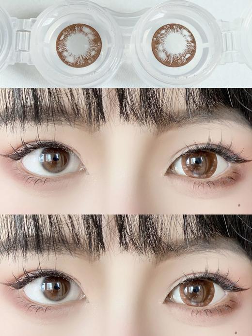 sheepcon&agenscolor 年抛 生椰拿铁巧 直径14.5mm着色14.0mm 商品图5