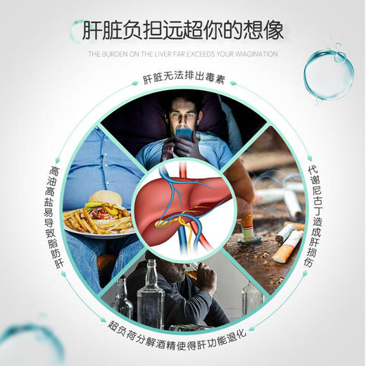 【肝净没负担】美国Norvion诺维肯蒲公英水飞蓟净肝片加班熬夜喝酒必备养肝减负加速代谢纯净配方植萃原料 商品图2