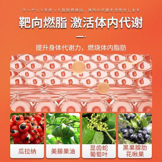 保密发货【告别易胖体质！2瓶立减20元】日本原装进囗，控制肠道消化“刚刚好”！减少热量摄入、排便舒畅、抗糖抗油脂、消除顽固脂肪 商品图5