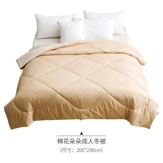 素道有机彩棉秋冬棉被 双人单人儿童被加厚保暖【京东快递送货上门】 商品图7