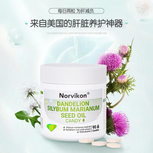 【肝净没负担】美国Norvion诺维肯蒲公英水飞蓟净肝片加班熬夜喝酒必备养肝减负加速代谢纯净配方植萃原料 商品图0