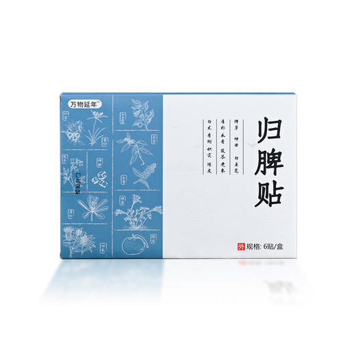 【买2送1】归脾贴沁养心脾养血宁神精选11味养脾草本潮汕草药脾草配方脾实贴6贴/盒 商品图6