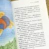 纽伯瑞儿童文学奖系列图书全套10册 荒泉山山胡桃木小姐兔子坡杜立特医生航海记与神秘湖波兰吹号手等 小学生儿童文学课外读物小说 商品缩略图2