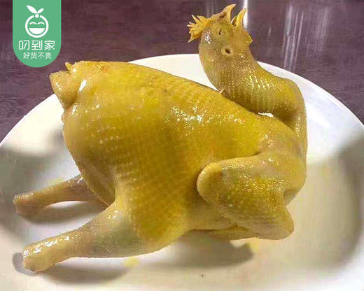 母亲源河田干蒸鸡/1只（约1500g）生产日期：25年10月 商品图2