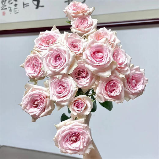星悦宝贝多头玫瑰10支 商品图3
