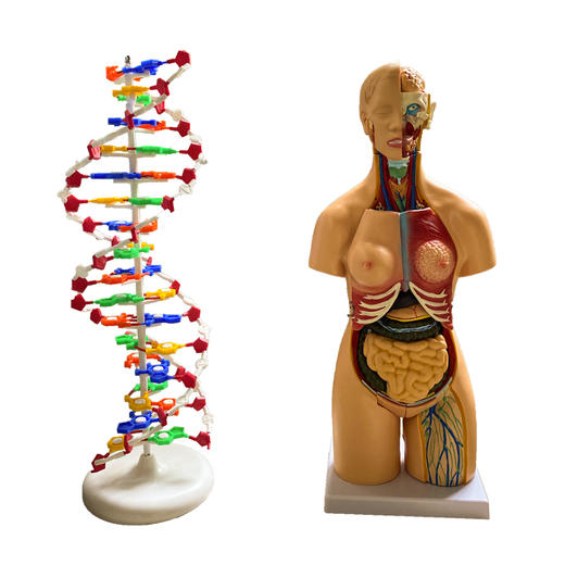 园长之家生命科学实验室整体解决方案 商品图4