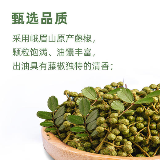 海天藤椒油250ml 商品图4