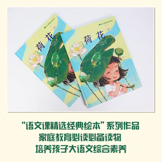 荷花 4岁+ 叶圣陶 著 儿童绘本 商品图3