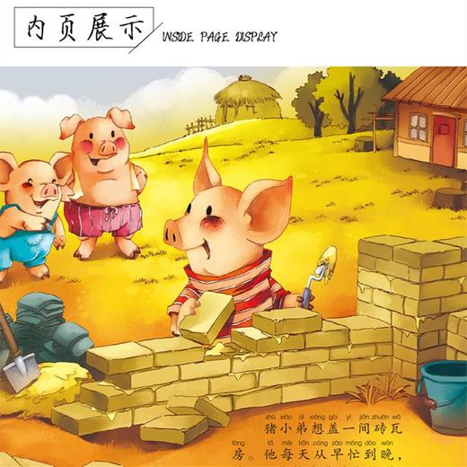 小口袋世界经典故事（10册）0-2-3-4-6岁 木偶奇遇记 灰姑娘 早教启蒙益智睡前宝宝故事书彩图注音儿童童话绘本故事书 商品图4