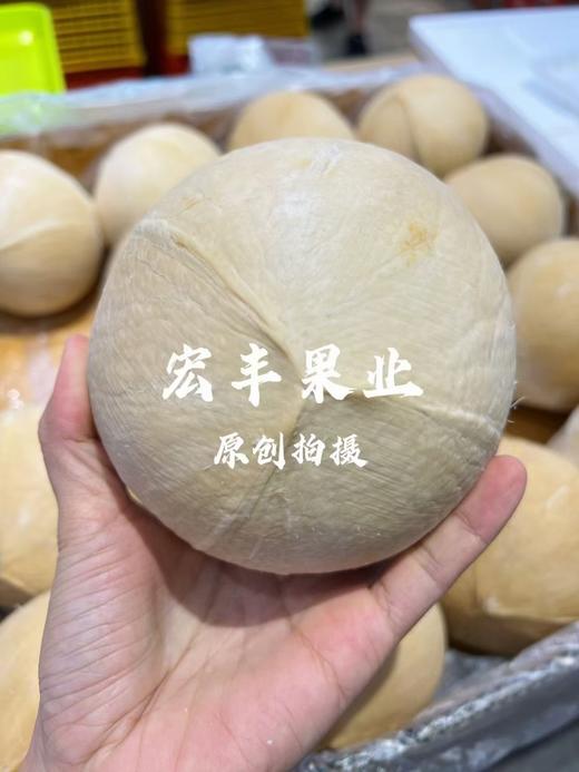 【宏丰精选】 泰国功夫椰皇 新鲜椰子 汁水香甜 活动价8.8元一个 商品图0