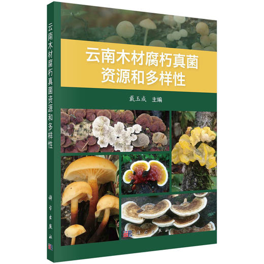 云南木材腐朽真菌资源和多样性/戴玉成 商品图0