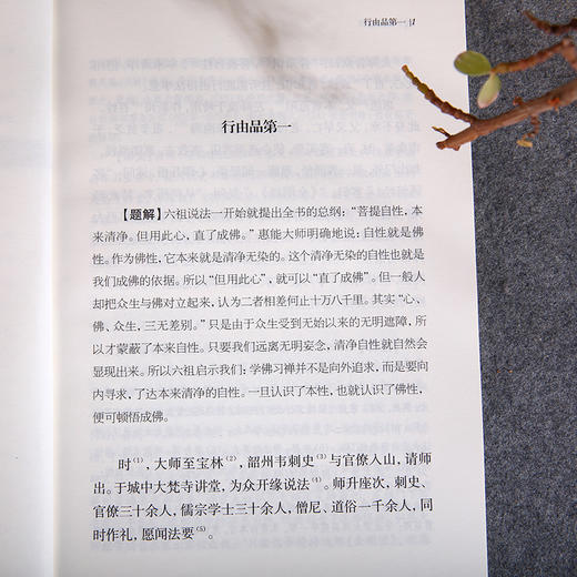 谦德国学文库 六祖坛经（黑皮新版） 商品图5