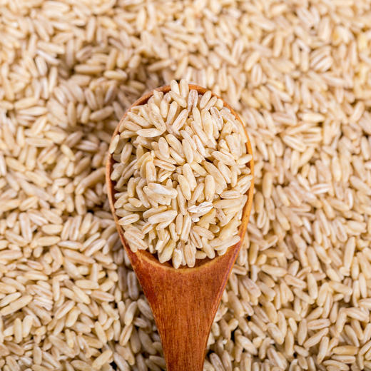 米中贵族·燕麦胚芽米 边煮边发芽的神奇谷物  商品图1