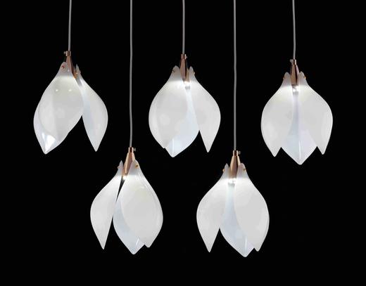 5头玉兰花灯串 商品图0