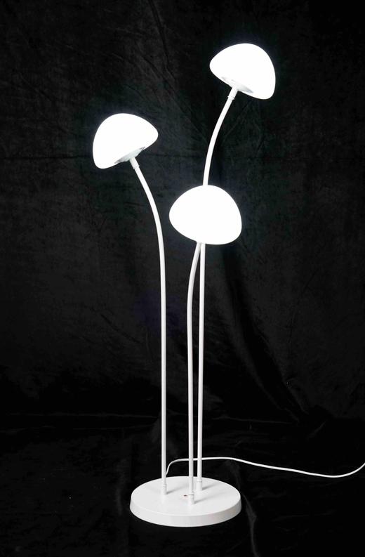 三头蘑菇（运费自理） 商品图0