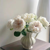 精品花材白荔枝玫瑰花热卖 商品缩略图8