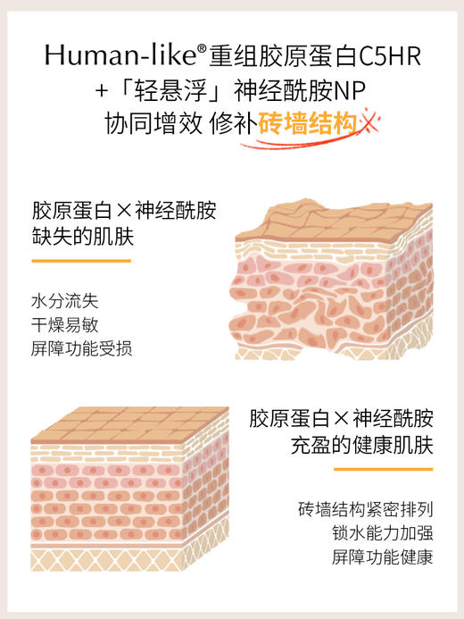 【品牌直发 拒绝假货】可丽金健肤系列 Human-like 修护维稳肌底液30ml 维稳 商品图3