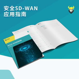 《安全SD-WAN应用指南》（电子版）