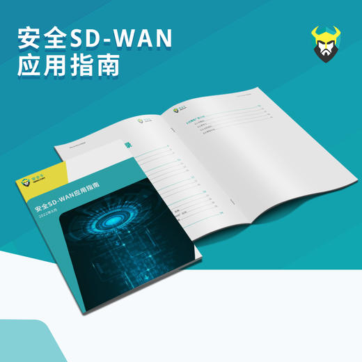 《安全SD-WAN应用指南》（电子版） 商品图0