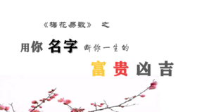 断妻子