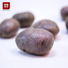 【中秋好“食”节】会东七彩洋芋5斤/10斤装 商品缩略图4