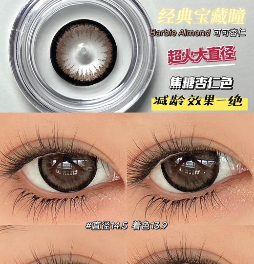 （年抛）DORAGINA 可可杏仁 14.5mm 着色13.9mm 商品图0