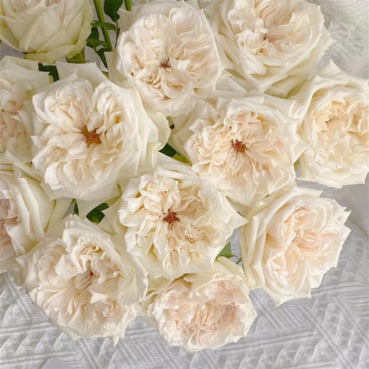 精品花材白荔枝玫瑰花热卖 商品图5