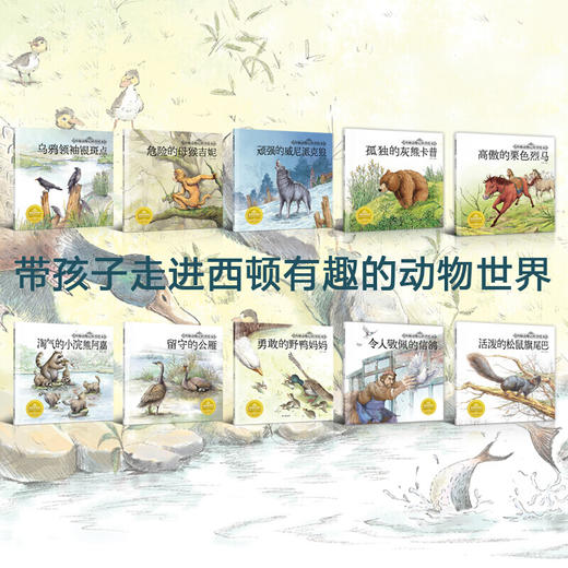 流传百年经典动物科普文学 西顿动物记科普绘本 全10册 长江出版社 商品图1