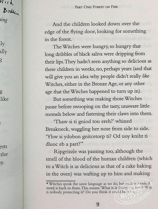 预售 【中商原版】魔镜奇谭3：敲三下 英文原版 The Wizards of Once: Knock Three Times 葛蕾熙达·柯维尔 Cressida Cowell 商品图6