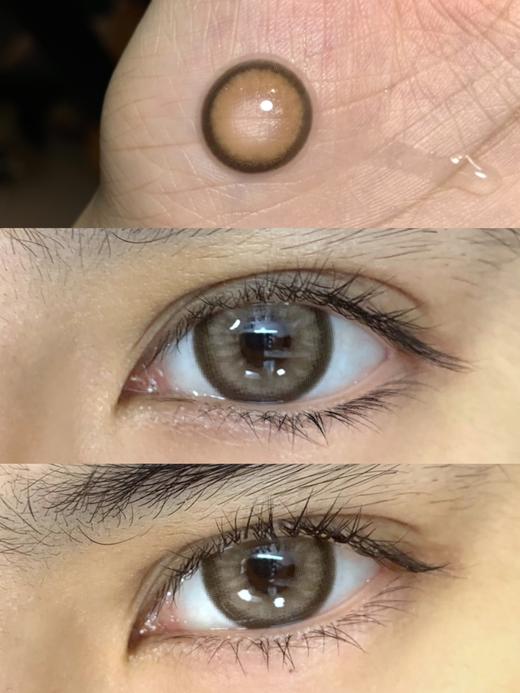 【小红书推荐款】clairecolor,女王蜂棕，年抛/直径14.5/着色13.9，138/一副，198/三副，12月12号结束，最高度数有1000度 商品图3