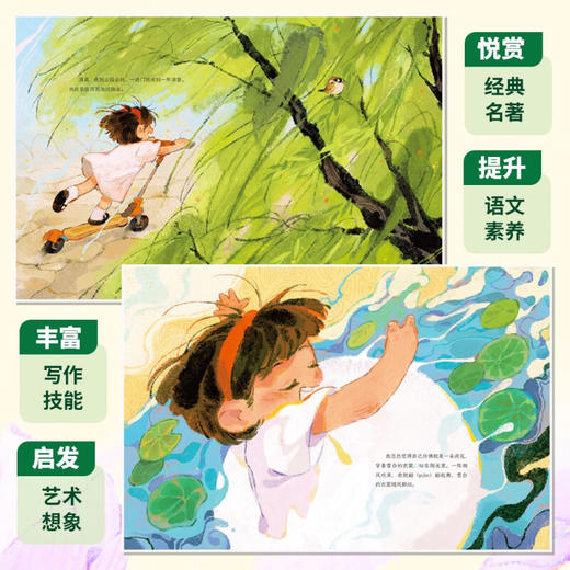 荷花 4岁+ 叶圣陶 著 儿童绘本 商品图1