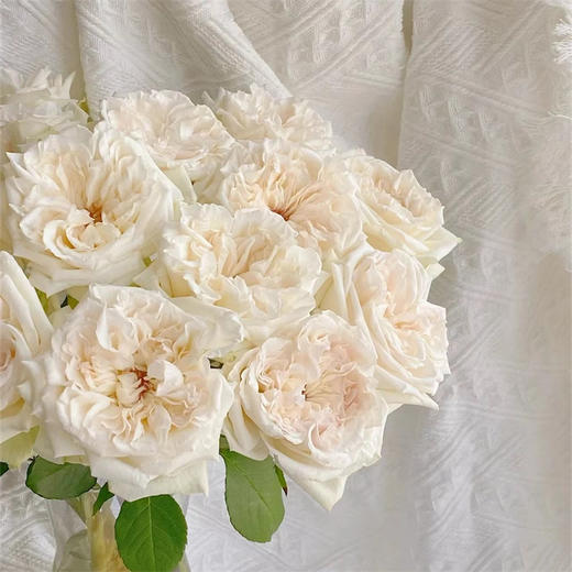 精品花材白荔枝玫瑰花热卖 商品图7