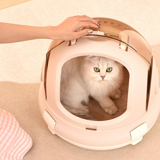 伊丽便携式猫航空箱 商品图3