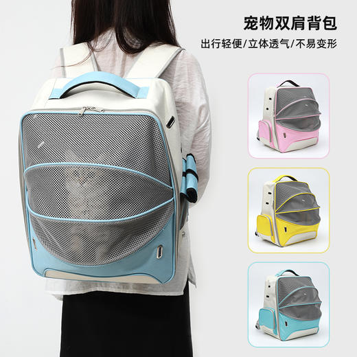 伊丽夏日清风猫背包 商品图0