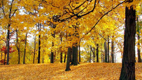 秋三月，学会“容平”，为冬藏打个好基础 