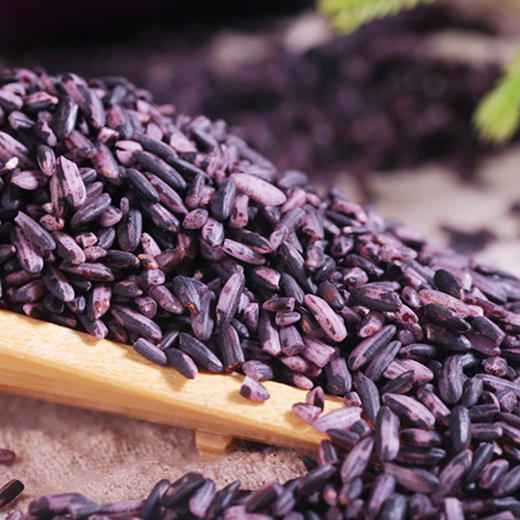 云南墨江紫米 来自“中国紫米之乡” 颗粒饱满  香糯清润 自然清香 柔黏丝滑  营养丰富 商品图3