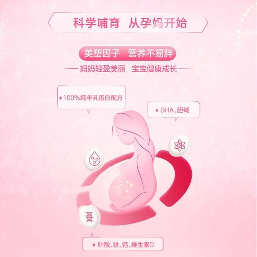 【买一赠一】荷兰佳贝艾特羊奶粉孕妇奶粉800g孕妈奶粉怀孕备孕哺乳 商品图3