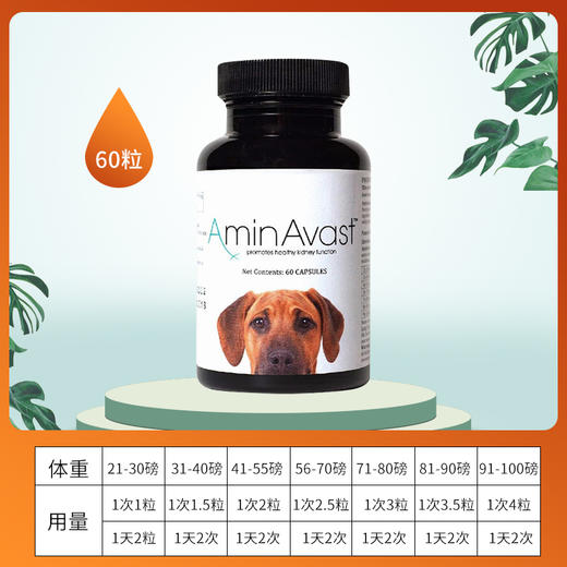 美国AminAvast犬猫肾衰停 商品图1