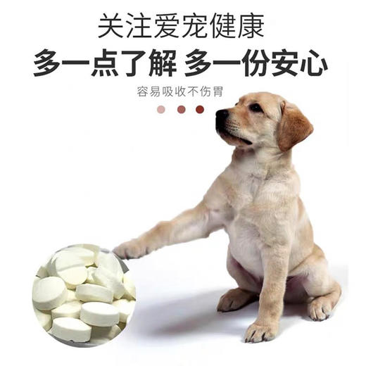 摩登狗泼尼松龙片P5狗狗抗炎症风湿关节炎过敏皮炎5mg/100粒 商品图3