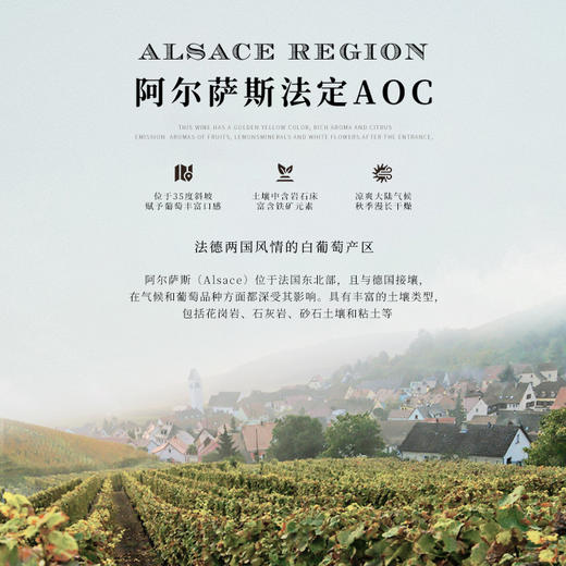 【阿尔萨斯法定AOC】法国盖勒世家特酿雷司令白葡萄酒 法国原瓶进口 13%vol 商品图9