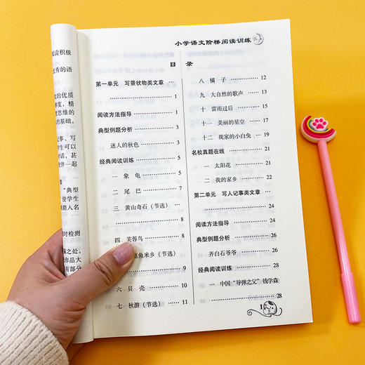 小学语文阶梯阅读训练书二年级 语文阅读理解训练题二年级人教版上册下册故事书 小学生课外阅读专项训练知识经典 同步2年级注音版 商品图2