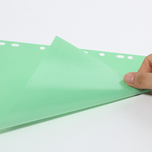 齐心 IX902 易分类 十色索引纸 A4 11孔 PP 商品图3