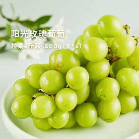 脆嫩浓甜自带花香！【云南阳光玫瑰葡萄】一口惊艳！