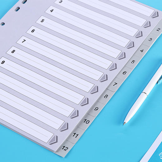 齐心 IX894 易分类 年度索引纸 A4 12页1-12 11孔 PP 商品图4