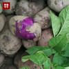 【中秋好“食”节】会东七彩洋芋5斤/10斤装 商品缩略图3