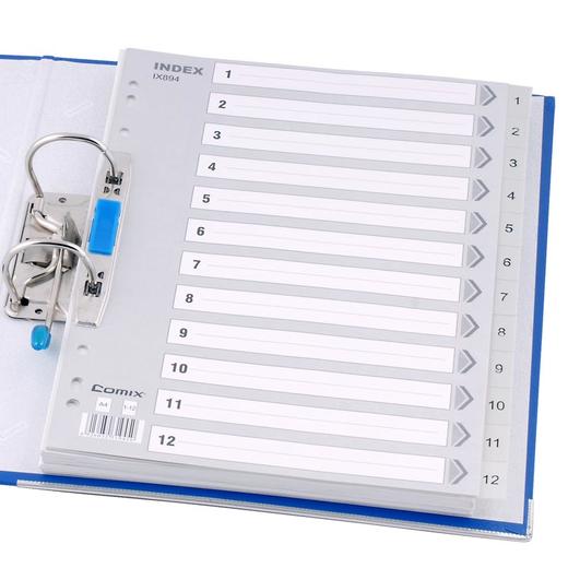 齐心 IX894 易分类 年度索引纸 A4 12页1-12 11孔 PP 商品图2