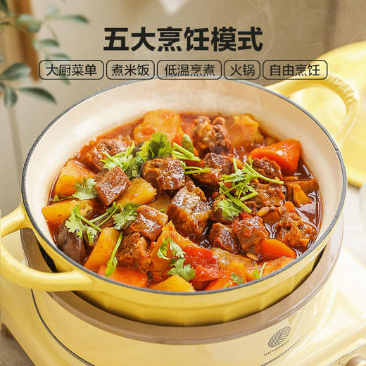 北鼎珐琅锅电磁锅煲汤家用25cm焖炖锅多功能炒锅平底锅具电磁炉 商品图2