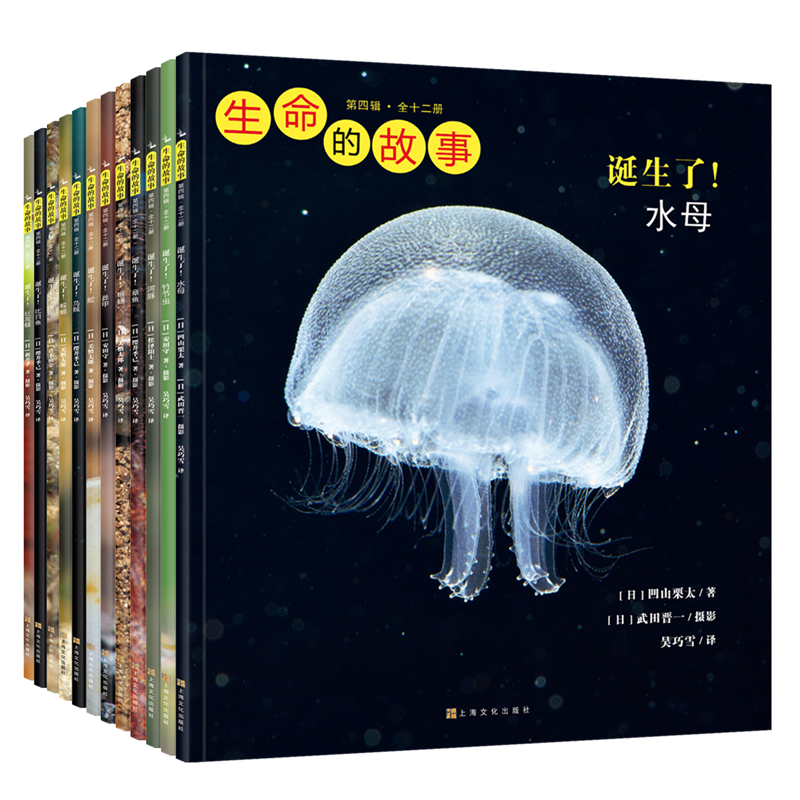 【新品】生命的故事（第四辑）（共12册）科普绘本 摄影绘本