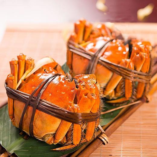 【阳澄湖大闸蟹卡券】阳澄湖大闸蟹送礼卡券，公蟹：4.5两母蟹：3.5两各4只 商品图2